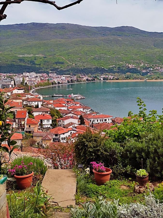 Zura Apartments Οχρίδα Εξωτερικό φωτογραφία