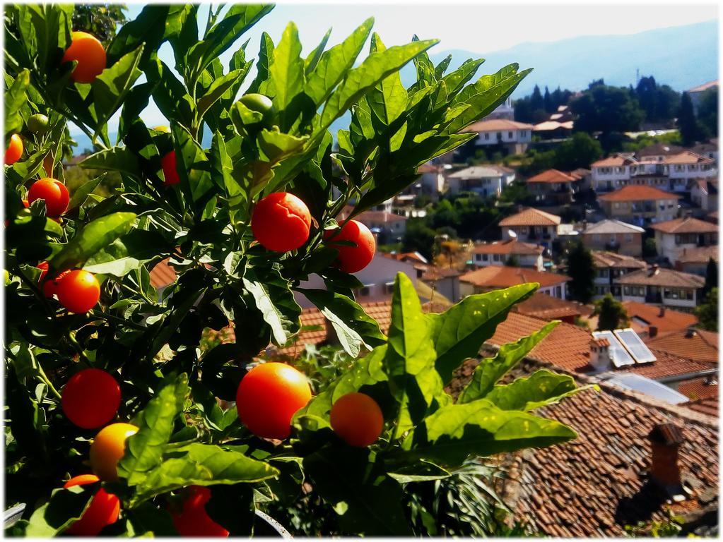 Zura Apartments Οχρίδα Εξωτερικό φωτογραφία